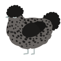 A grey and sable chicken with a speckle pattern