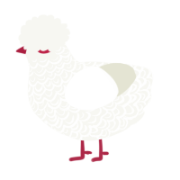 A white chicken with a double-lace pattern