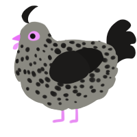A ash and sable chicken with a speckle pattern