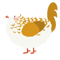 A white and ochre chicken with a half-lace pattern