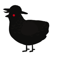 A black and sable chicken with a half-lace pattern