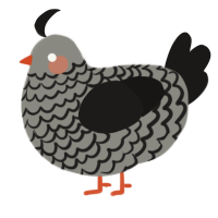 A ash and sable chicken with a lace pattern
