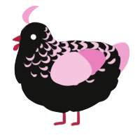 A black and pink chicken with a half-lace pattern