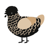 A black and beige chicken with a lace pattern