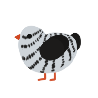 (unnamed), a mist and sable chicken with a bar pattern