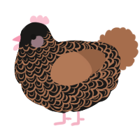 A sable and brown chicken with a double-lace pattern