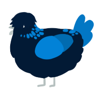 A tumblr and sapphire chicken with a neck-speckle pattern