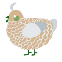 A beige and mist chicken with a lace pattern
