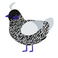 A sable and mist chicken with a double-lace pattern