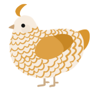 A cream and orange chicken with a lace pattern