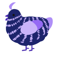 A navy and lilac chicken with a bar pattern