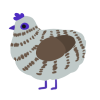 A silver and bark chicken with a bar pattern