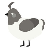 A white and grey chicken with a head pattern
