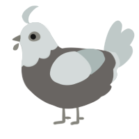A grey and silver chicken with a head pattern