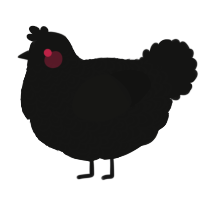 A black chicken with a double-lace pattern