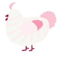 A white and rose chicken with a bar pattern