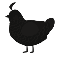 A black and sable chicken with a lace pattern