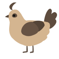 A beige and bark chicken
