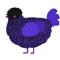 A black and indigo chicken with a double-lace pattern