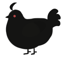 A black chicken