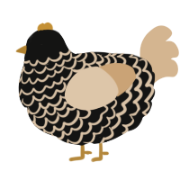 A black and beige chicken with a lace pattern