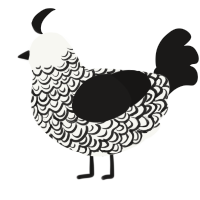 A white and sable chicken with a double-lace pattern