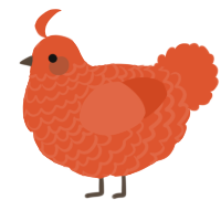 A vermilion chicken with a lace pattern
