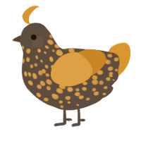 A bark and orange chicken with a speckle pattern