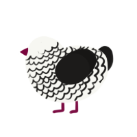 (unnamed), a white and sable chicken with a lace pattern