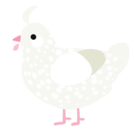 A white chicken with a speckle pattern