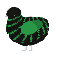 A black and viridian chicken with a bar pattern