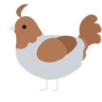 A mist and brown chicken with a head pattern