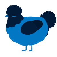 A sapphire and tumblr chicken with a head pattern