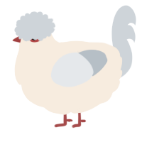 A cream and mist chicken