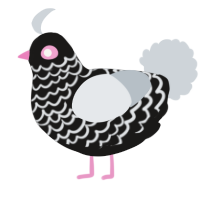 A sable and mist chicken with a lace pattern