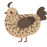 A beige and bark chicken with a speckle pattern
