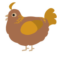 A brown and ochre chicken with a neck-band pattern