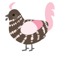 A bark and rose chicken with a bar pattern