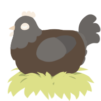 A bark and grey chicken with a head pattern