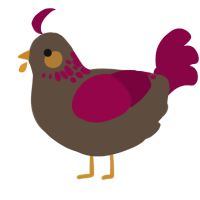 A bark and maroon chicken with a neck-speckle pattern