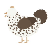 A white and bark chicken with a speckle pattern