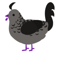 A grey and sable chicken with a half-lace pattern