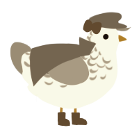 A white and ash chicken with a half-lace pattern