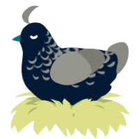 A tumblr and ash chicken with a half-lace pattern