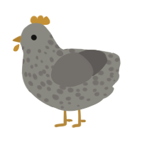 A ash and grey chicken with a speckle pattern