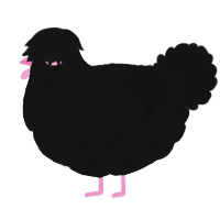A black chicken with a lace pattern