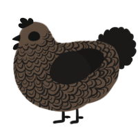 A bark and sable chicken with a double-lace pattern