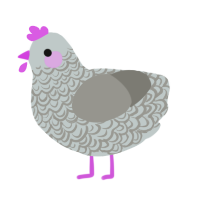 A silver and ash chicken with a double-lace pattern