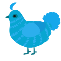 A cerulean and sky chicken with a bar pattern