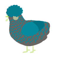 A grey and sea chicken with a lace pattern